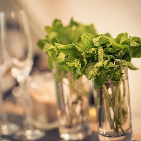 Il Maestro - Restaurant Du Chateau Ecouen